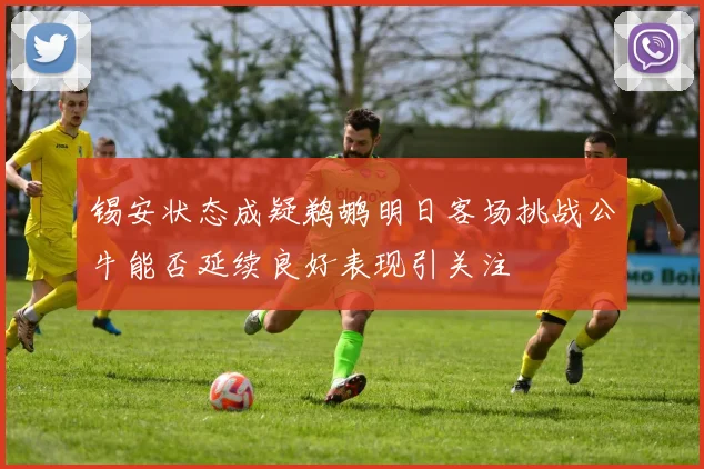 锡安状态成疑鹈鹕明日客场挑战公牛能否延续良好表现引关注